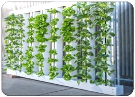 artificial landscape