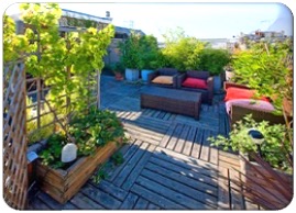 Roof Garden